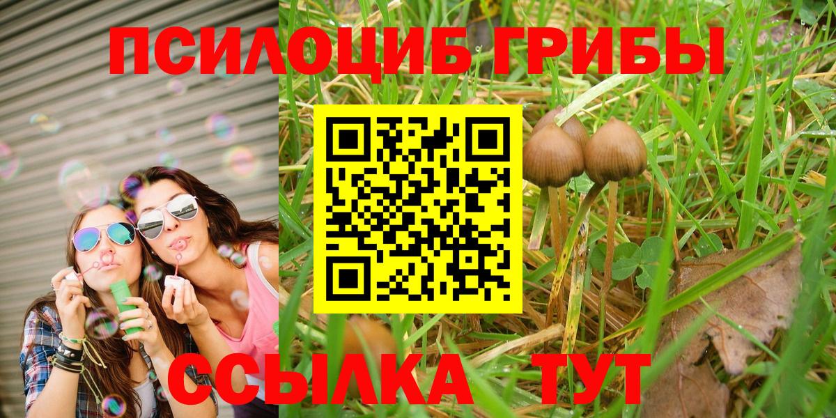 Галлюциногенные грибы Psilocybe Назарово